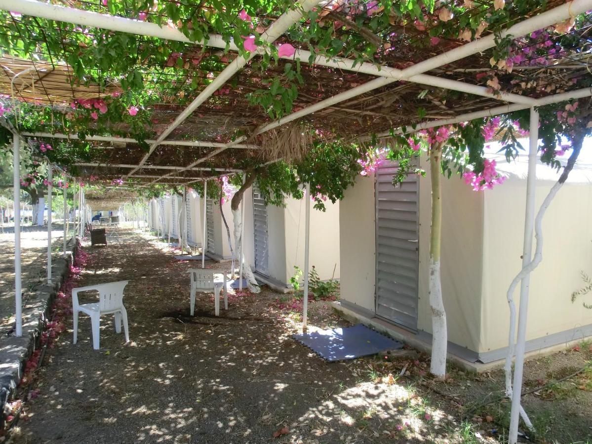 Hostel Santorini & Fira (Santorini)