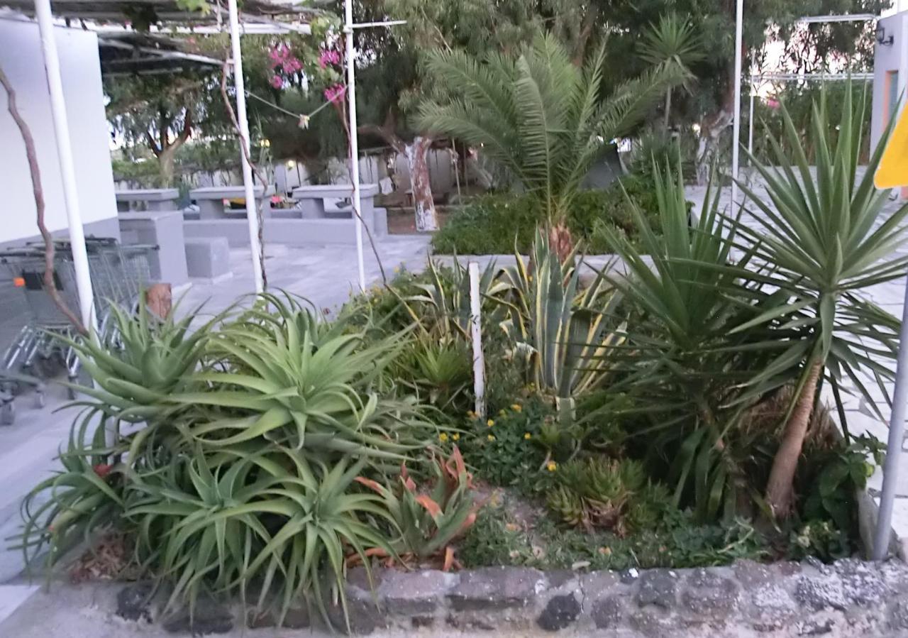 Ostello Santorini Camping&hostel Fira (Santorini)