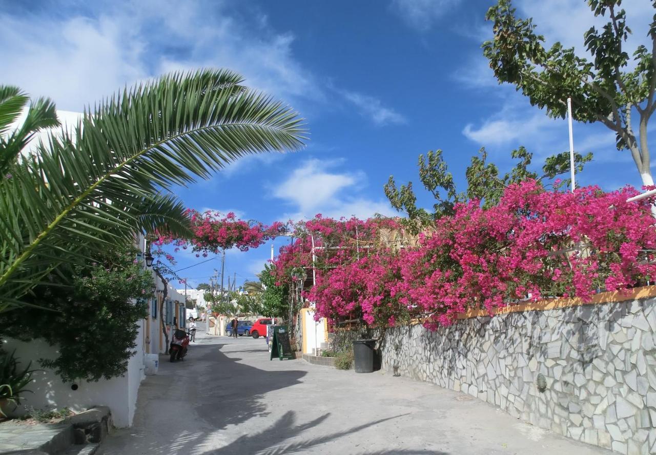 Santorini Camping&hostel *