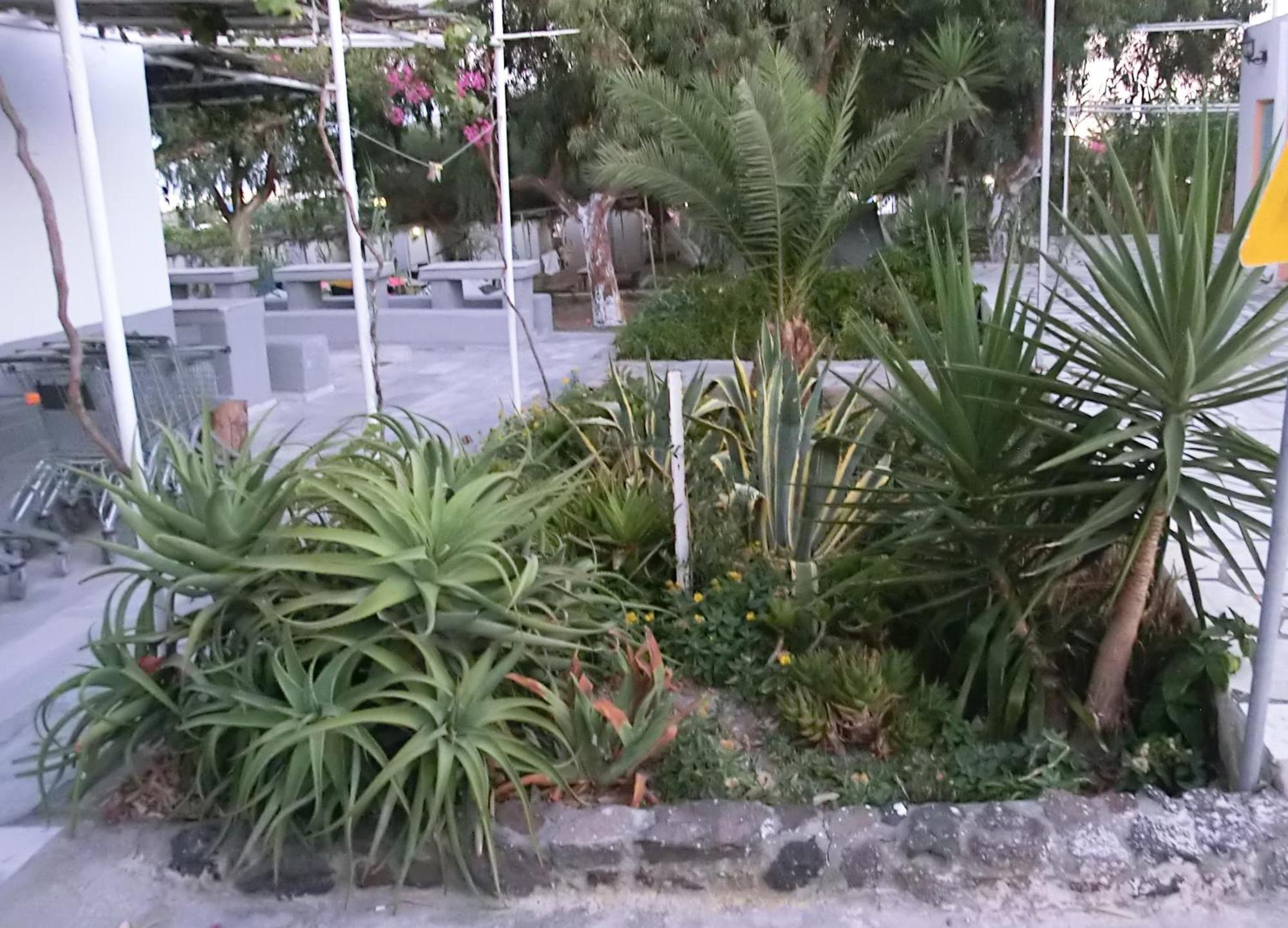 Hostel Santorini & Fira (Santorini)